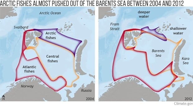 barents sea map